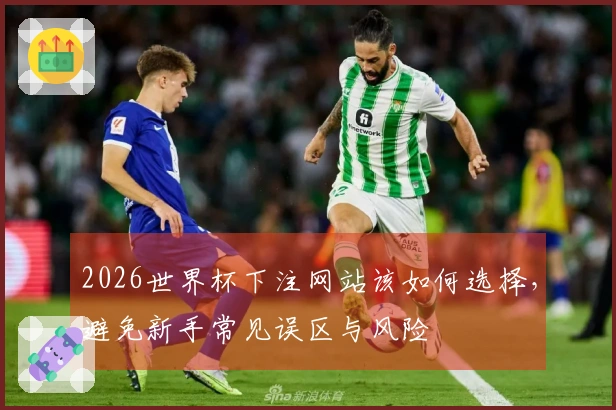 2026世界杯下注网站该如何选择，避免新手常见误区与风险