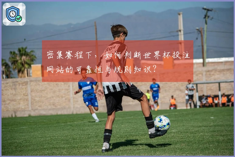 密集赛程下，如何判断世界杯投注网站的可靠性与规则知识？