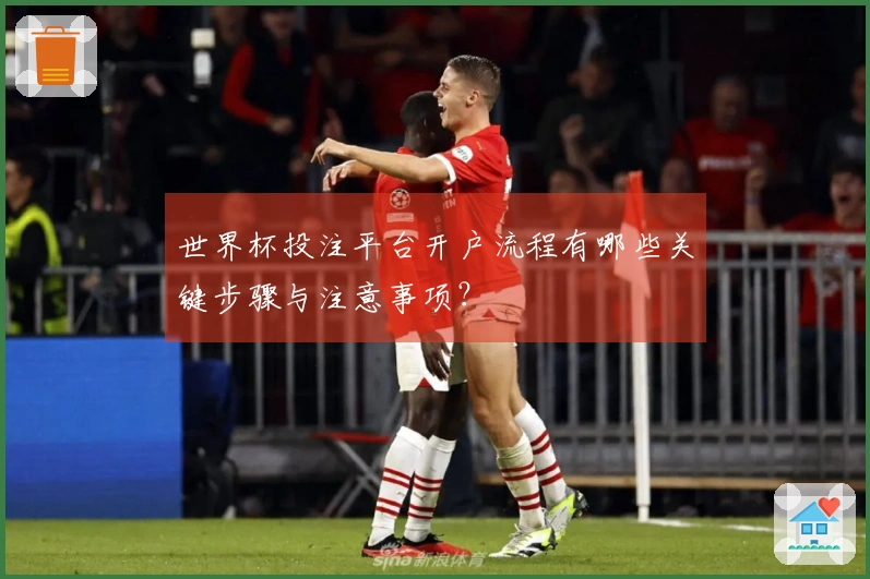 世界杯投注平台开户流程有哪些关键步骤与注意事项？