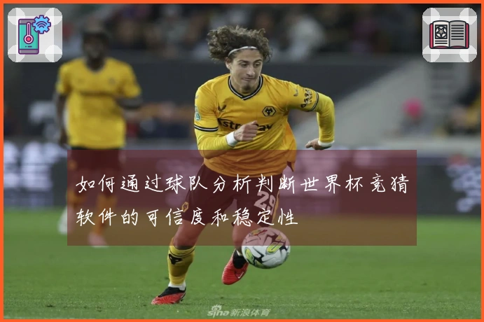 如何通过球队分析判断世界杯竞猜软件的可信度和稳定性